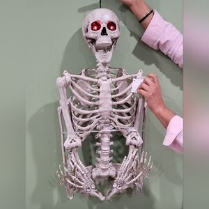 Ashland 5ft. Life Size Spooky Skeleton Halloween Decoration